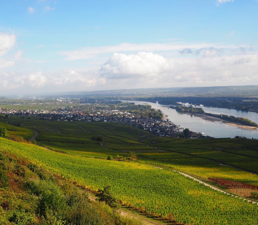 Gasthaus Weingut Stahl Oberwesel Esterno foto