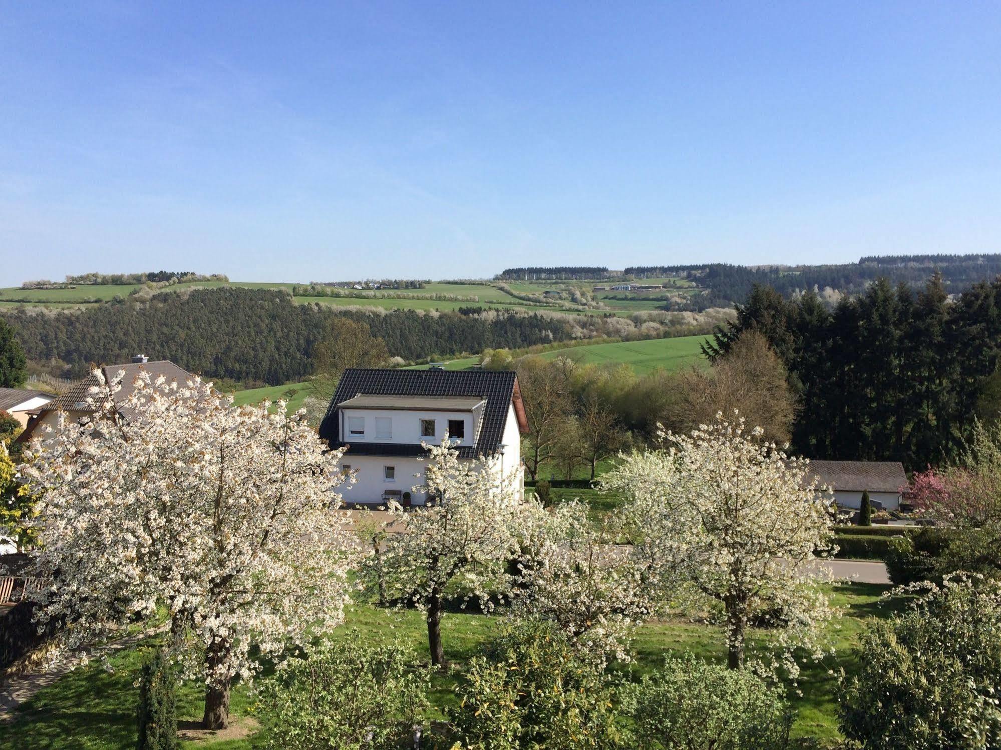 Gasthaus Weingut Stahl Oberwesel Esterno foto